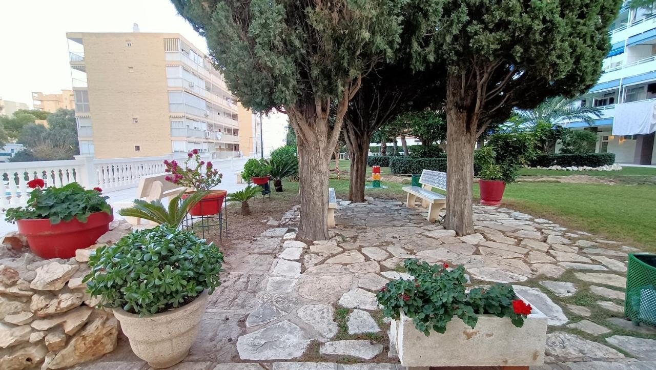 アリカンテApartamento Antonio De Alacant Aaaアパートメント エクステリア 写真