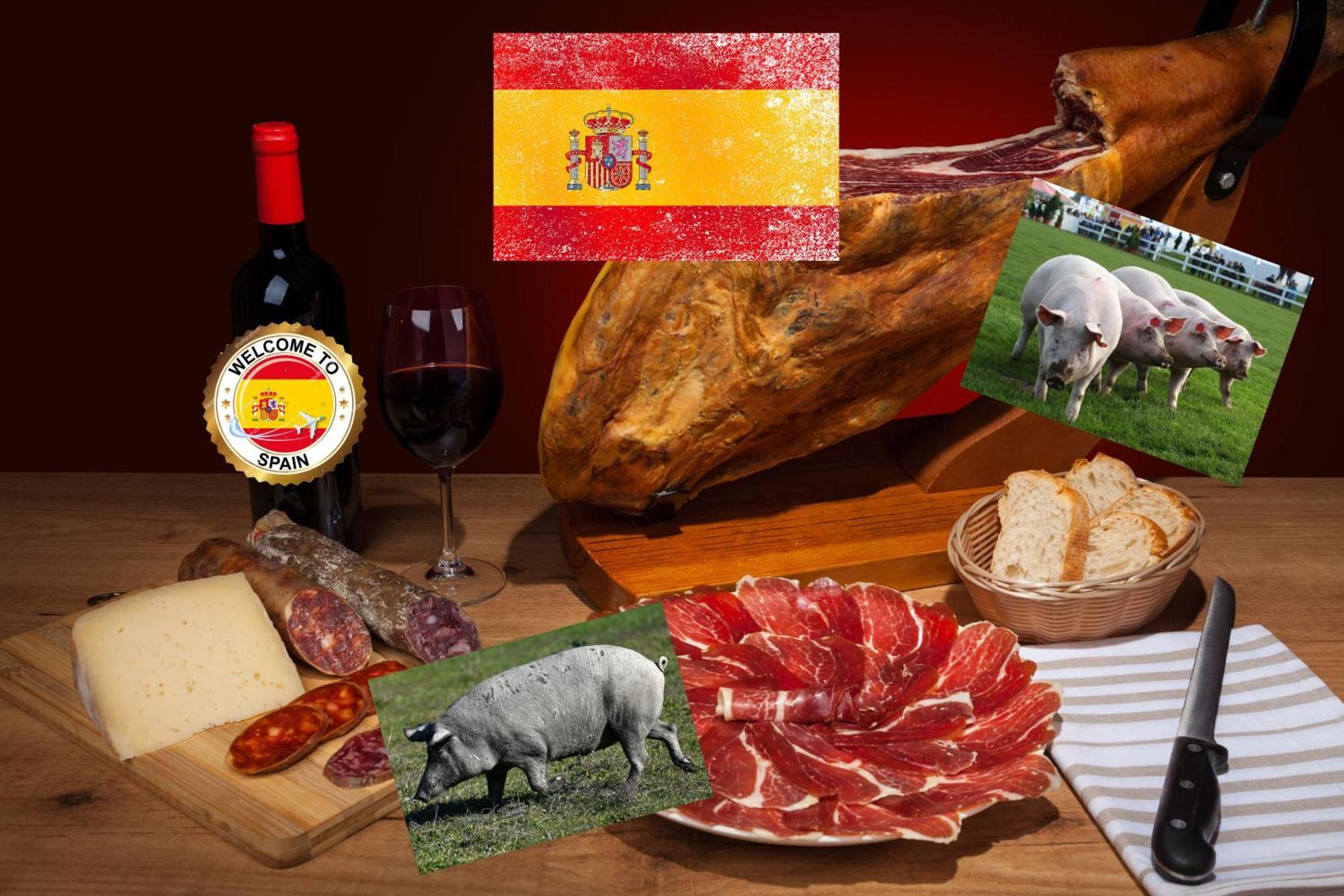 アリカンテApartamento Antonio De Alacant Aaaアパートメント エクステリア 写真